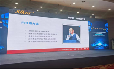 國產(chǎn)替代，逆勢崛起  中國半導(dǎo)體行業(yè)的未來展望