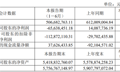 思瑞浦/南芯/帝奧微悲喜不相通，模擬電源的春天要等到2026年？