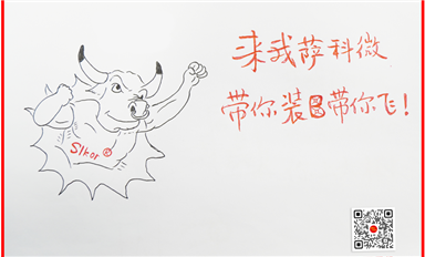 活用經濟學社會學管理學理論，帶動薩科微和金航標高速發展！