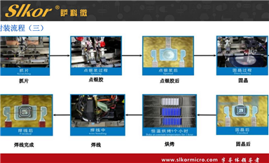 薩科微的主要市場方向？